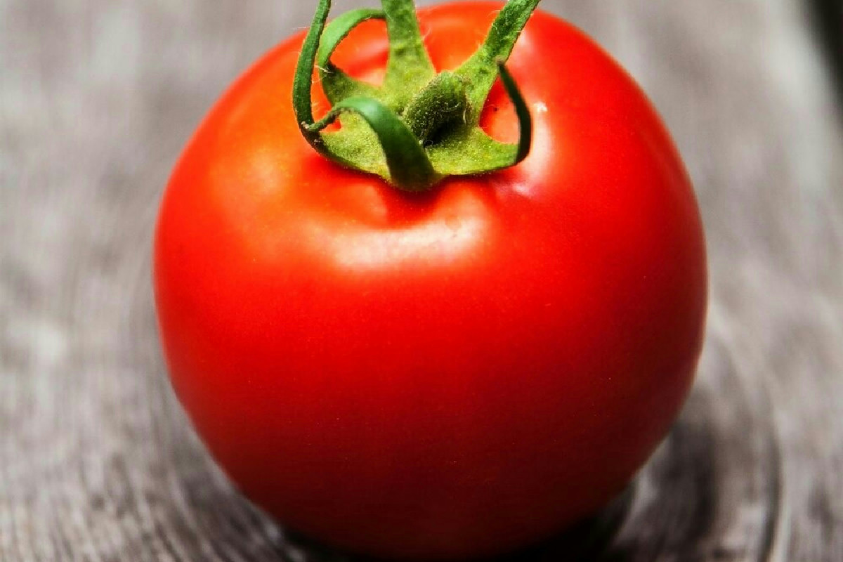 Fattori naturali che accelerano la maturazione dei pomodori per un raccolto anticipato e abbondante