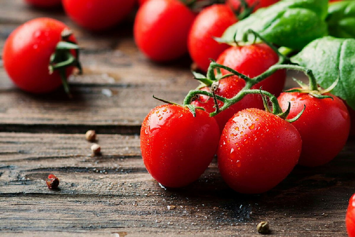 Fattori naturali che accelerano la maturazione dei pomodori per un raccolto anticipato e abbondante