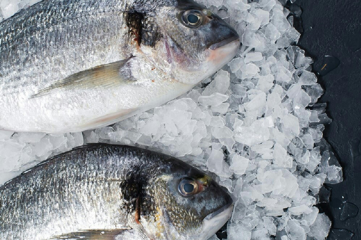 Il modo migliore per preparare e conservare il pesce perfetto per il Cenone della Vigilia