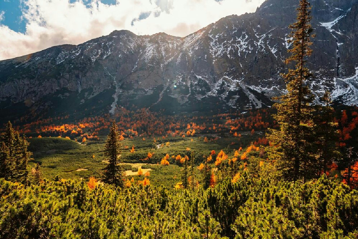 Il villaggio trentino dove Natale si accende con mille presepi artistici e luci incantate